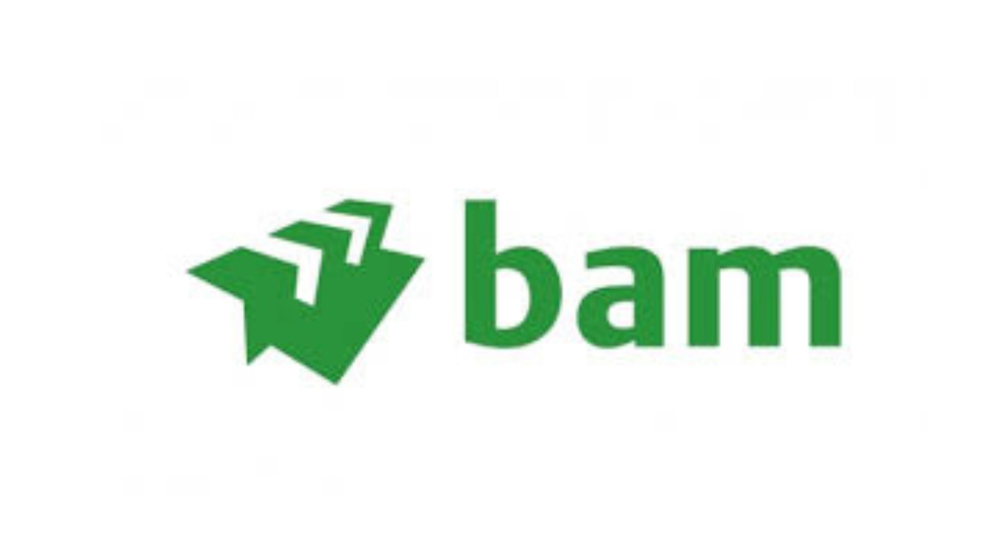 logo BAM (canva)