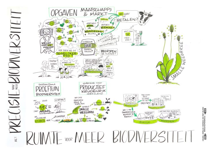 Ruimte voor meer biodiversiteit, live getekend tijdens workshop Wageningen Universiteit, mei 2023