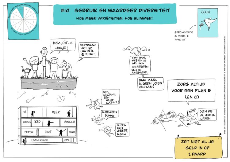 Ontwerpprincipe #10 permacultuur, juni 2023