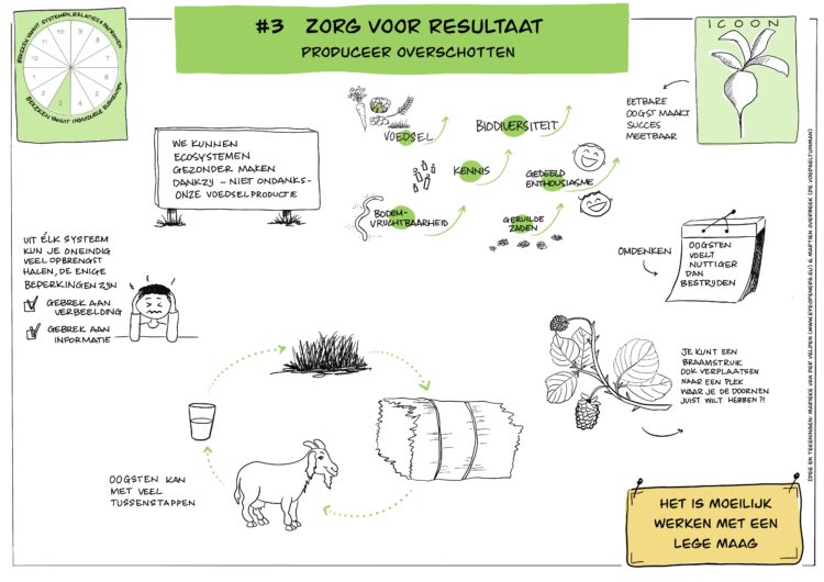 Ontwerpprincipe #3 permacultuur, juni 2023