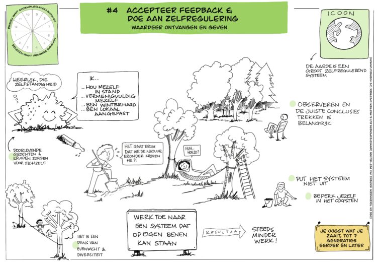 Ontwerpprincipe #4 permacultuur, juni 2023