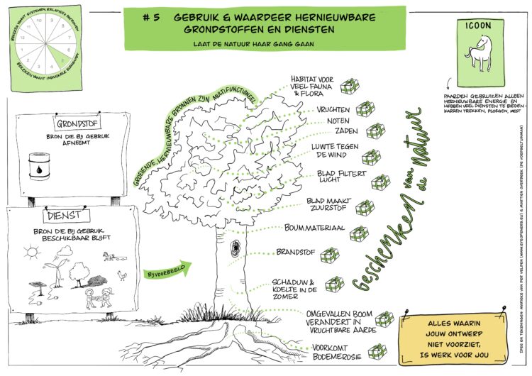 Ontwerpprincipe #5 permacultuur, juni 2023