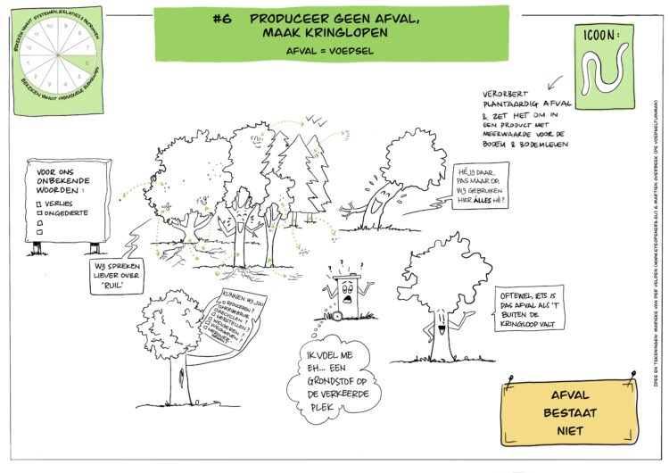 Ontwerpprincipe #6 permacultuur, juni 2023